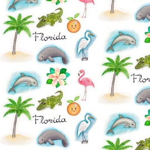 Florida Icons