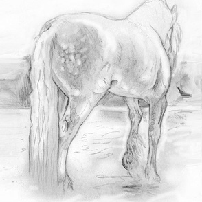 Custom Gypsy Horse BW 15y