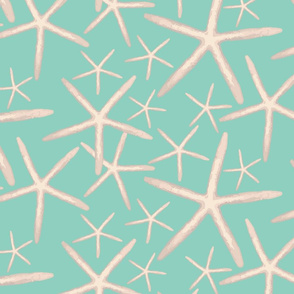 16-02n Starfish Sea Star nautical  Ocean Mint Green Waves Water_Miss Chiff Designs