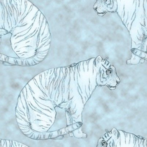 Blue White Tiger