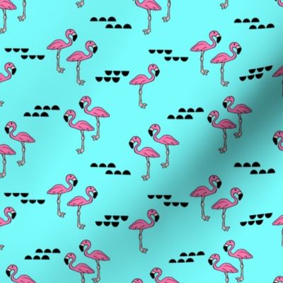 Flamingos // bright