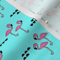 Flamingos // bright