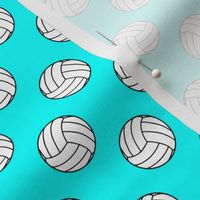 One Inch Black and White Volleyball Balls on Aqua Blue