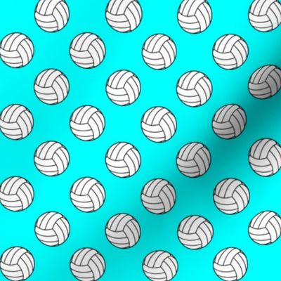 One Inch Black and White Volleyball Balls on Aqua Blue