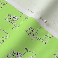 Twin green schnauzer Dogs for kids pyjamas and funky dog clothes, and bandanas. 