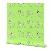 Twin green schnauzer Dogs for kids pyjamas and funky dog clothes, and bandanas. 