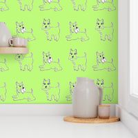 Twin green schnauzer Dogs for kids pyjamas and funky dog clothes, and bandanas. 