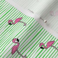 Flamingos on stripes // green