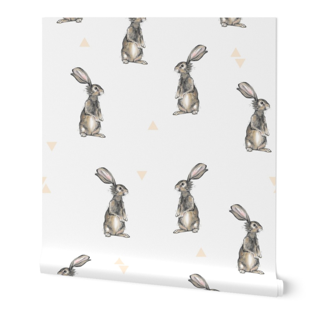 Rabbits + Triangles on White