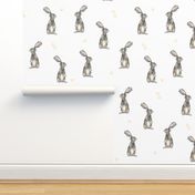 Rabbits + Triangles on White