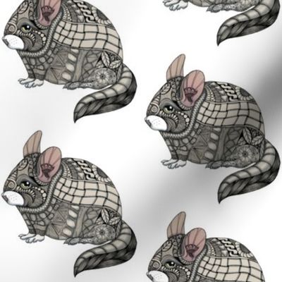 Chinchilla