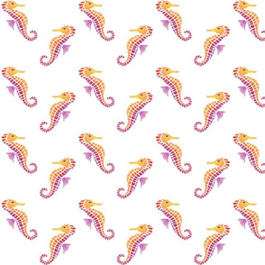 Seahorses on White