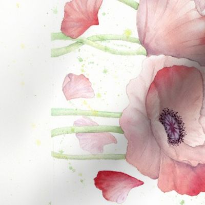 Watercolor Poppy Single Border