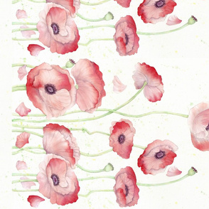 Watercolor Poppy Double Border narrow fabric