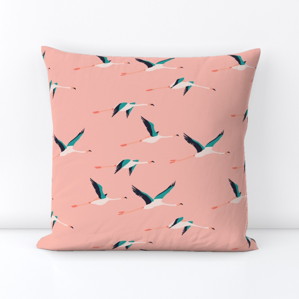 flamingo_coastal