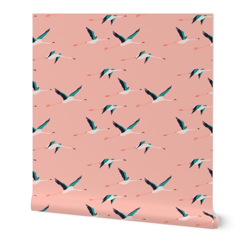 flamingo_coastal