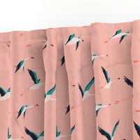 flamingo_coastal