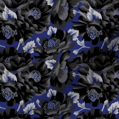 Mount Cook Lily - Blue/Black