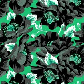 Mount Cook Lily - Mint/Black