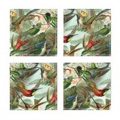 Vintage Hummingbird Pattern (Large)