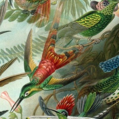 Vintage Hummingbird Pattern (Large)