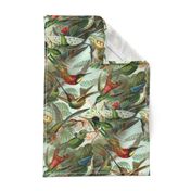 Vintage Hummingbird Pattern (Large)