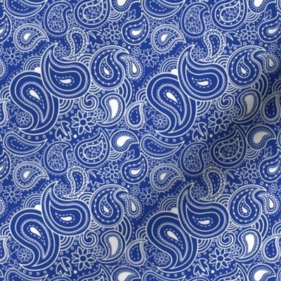 Paisley-dark-blue_white