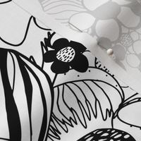 Black and White Floral Burst