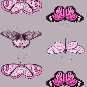 Butterflies - 2 directional repeat Pinks & Black on Brown