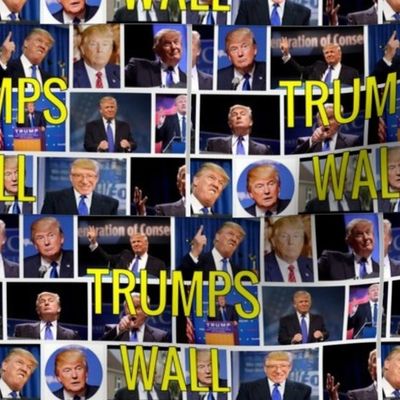 trumps wall