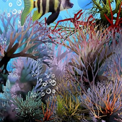 Coral Reef