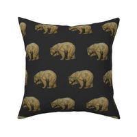 Gold Bears on Gray Grey Bear Grizzly Bear Brown Bear Black Bear