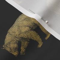 Gold Bears on Gray Grey Bear Grizzly Bear Brown Bear Black Bear