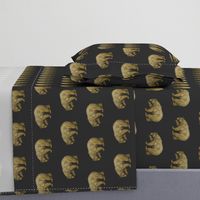 Gold Bears on Gray Grey Bear Grizzly Bear Brown Bear Black Bear