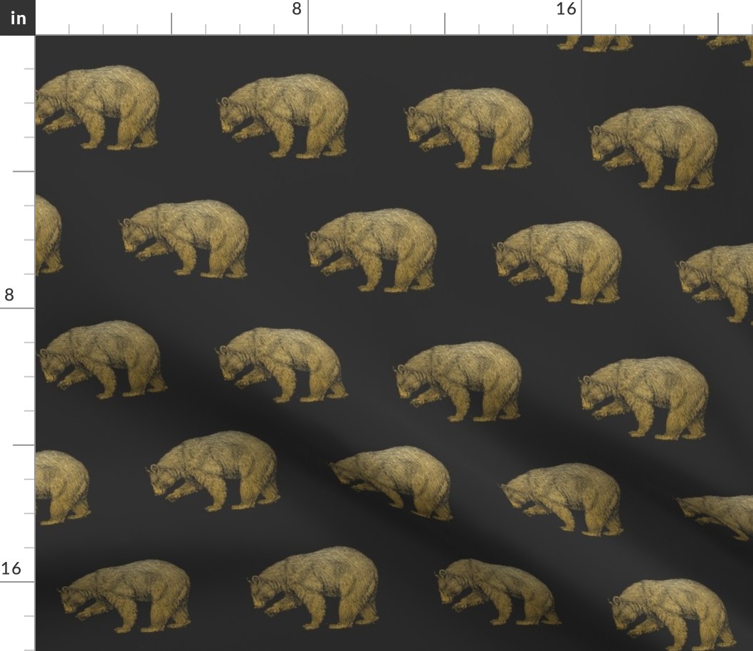 Gold Bears on Gray Grey Bear Grizzly Bear Brown Bear Black Bear