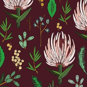 protea_dark_maroon