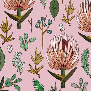 protea_pink