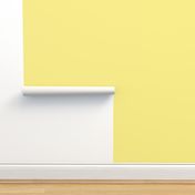 Bright Light Yellow Solid