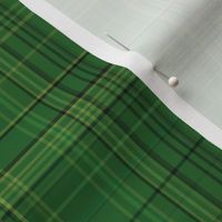 Forest Green Plaid 2