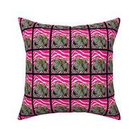 Black and White African Zebras with hot pink zebra background