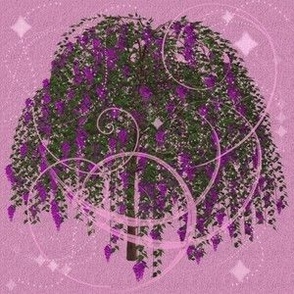 Wisteria with flourishes