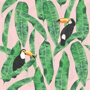 Medium Watercolor Toucan Jungle with Salmon Pink Background