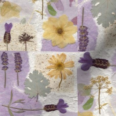 Spanish lavender squares