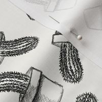 Sketchy Gray Cacti
