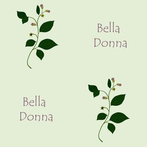 Bella Donna