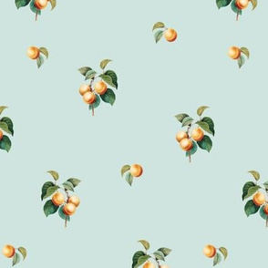 Apricots v2 on Eggshell Blue // small