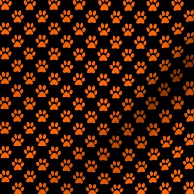 Half Inch Orange Paw Prints on Black