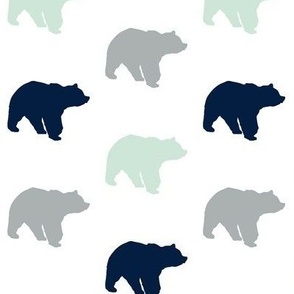 Multi Bear // Northern Lights
