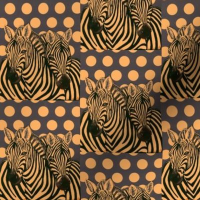 Orange and black zebras on polka dots