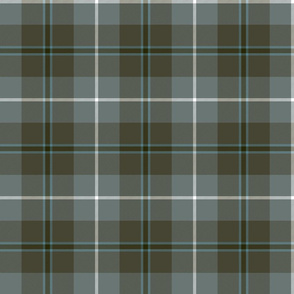 Douglas tartan, 6" weathered greys